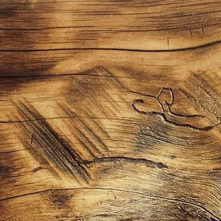 Naeaetaemoe By Interhome * Patiala